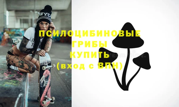 соль курить ск Верея