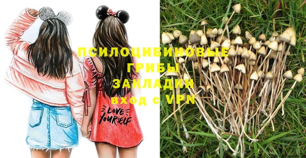 apvp Верхний Тагил