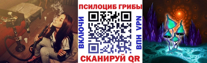 Галлюциногенные грибы Magic Shrooms  что такое   Могоча 