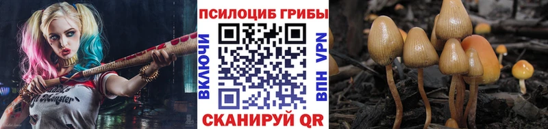 Галлюциногенные грибы прущие грибы Могоча
